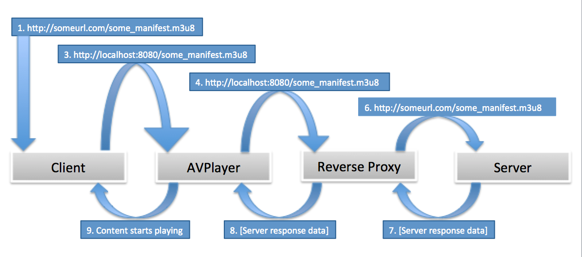 Sending and Receiving AVPlayer HTTP Headers
